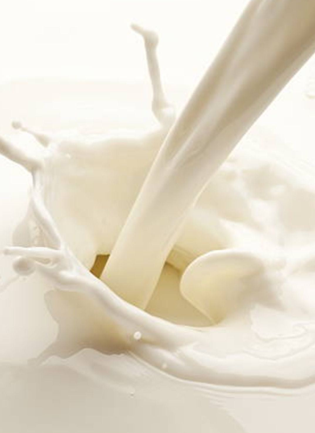 ميلك شوجر Milk Sugar