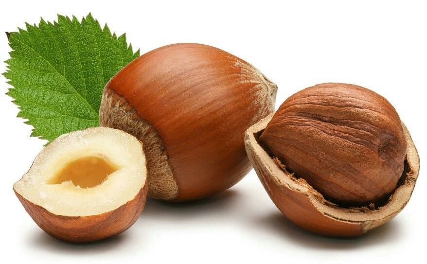 Hazelnut — بندق