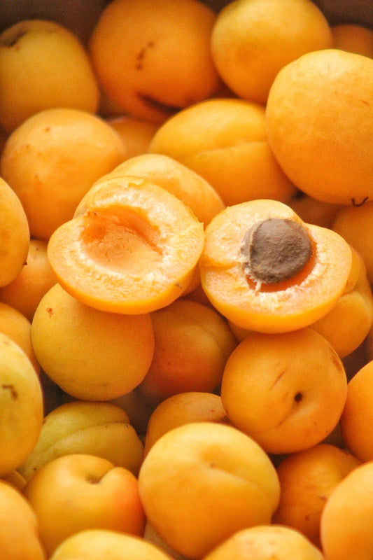Apricot — مشمش