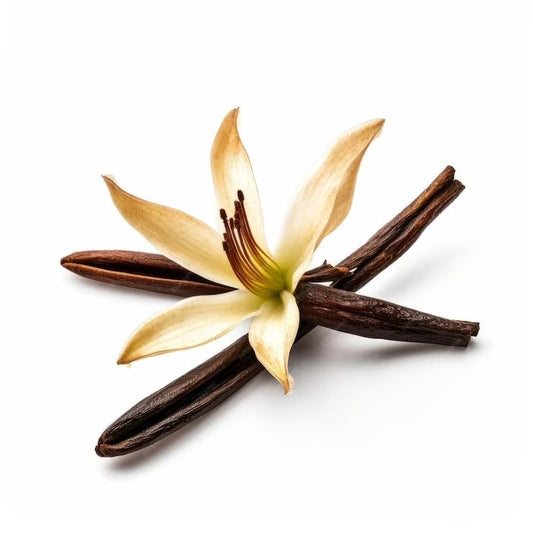 توباكو فانيليا Tobacco Vanilla