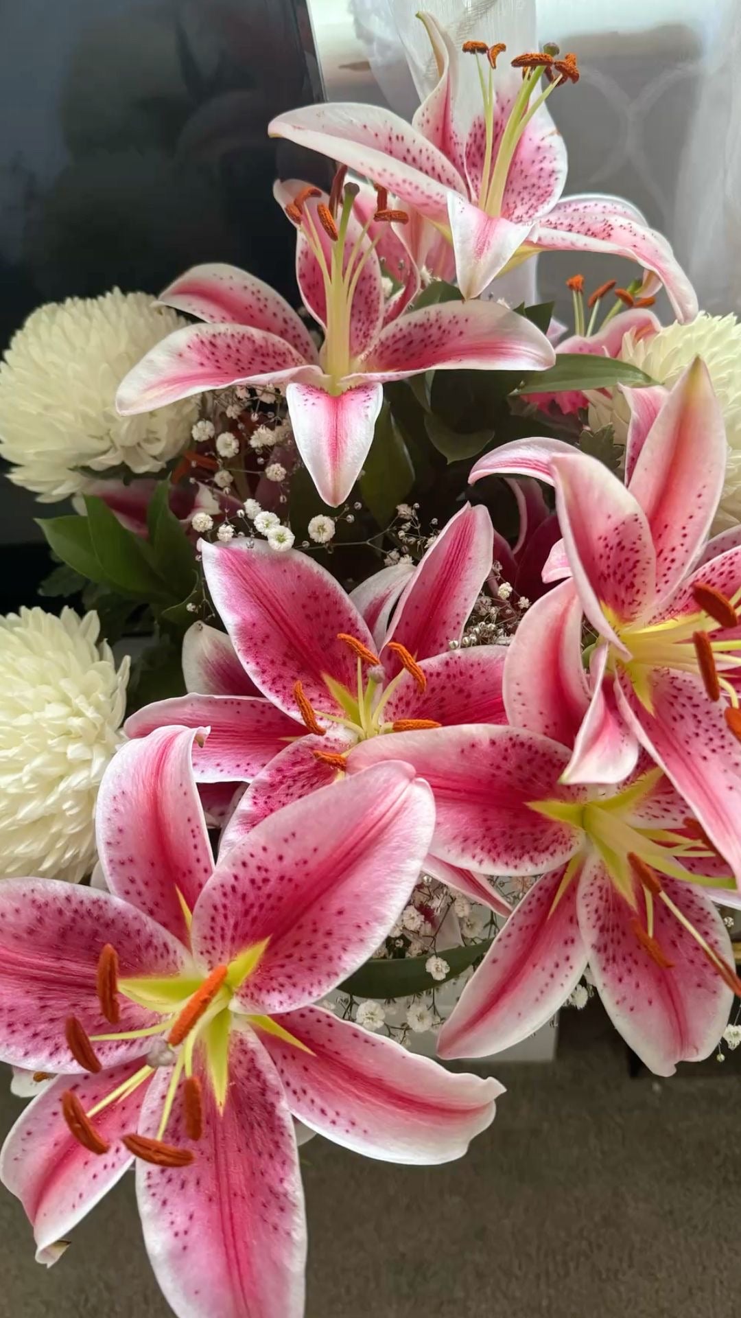 Lily of the Valley — زمباك