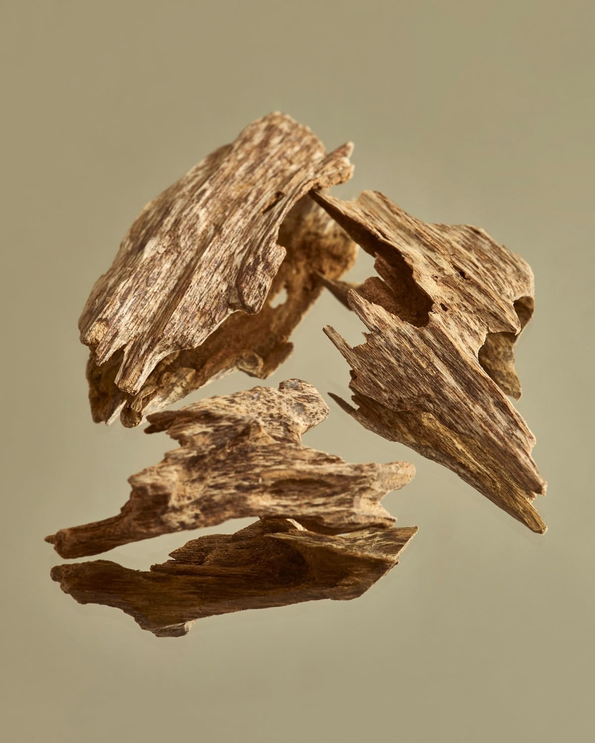 Wooden Oud — عود خشبي