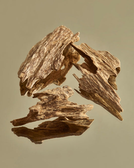 Wooden Oud — عود خشبي