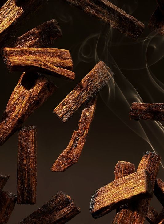 Black Oud — العود الأسود