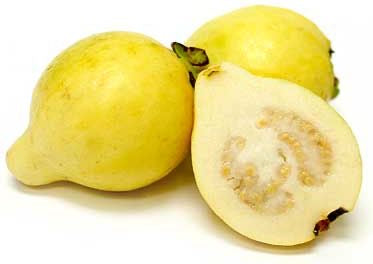 جوافة Guava